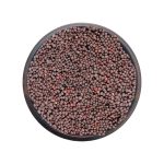 WHOLE MUSTARD SEEDS/RAI/SARSON 100G